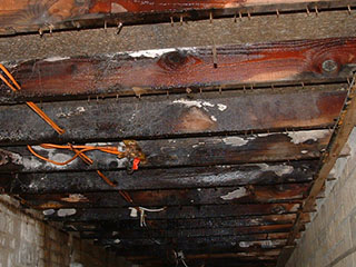 Wet rot