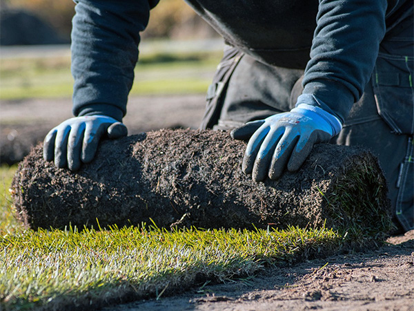 Real Turf